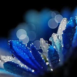 Meet your Posher, Molly